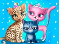image Cat Hair Salon