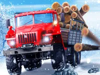 image Truck Driver Snowy Roads