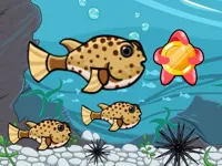 image Run Fish Run