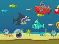 image Crazy Shark