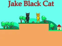 image Jake Black Cat