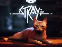 image Stray